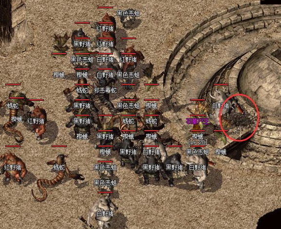 道士呼唤神兽加施毒术满攻速衔接续航拉